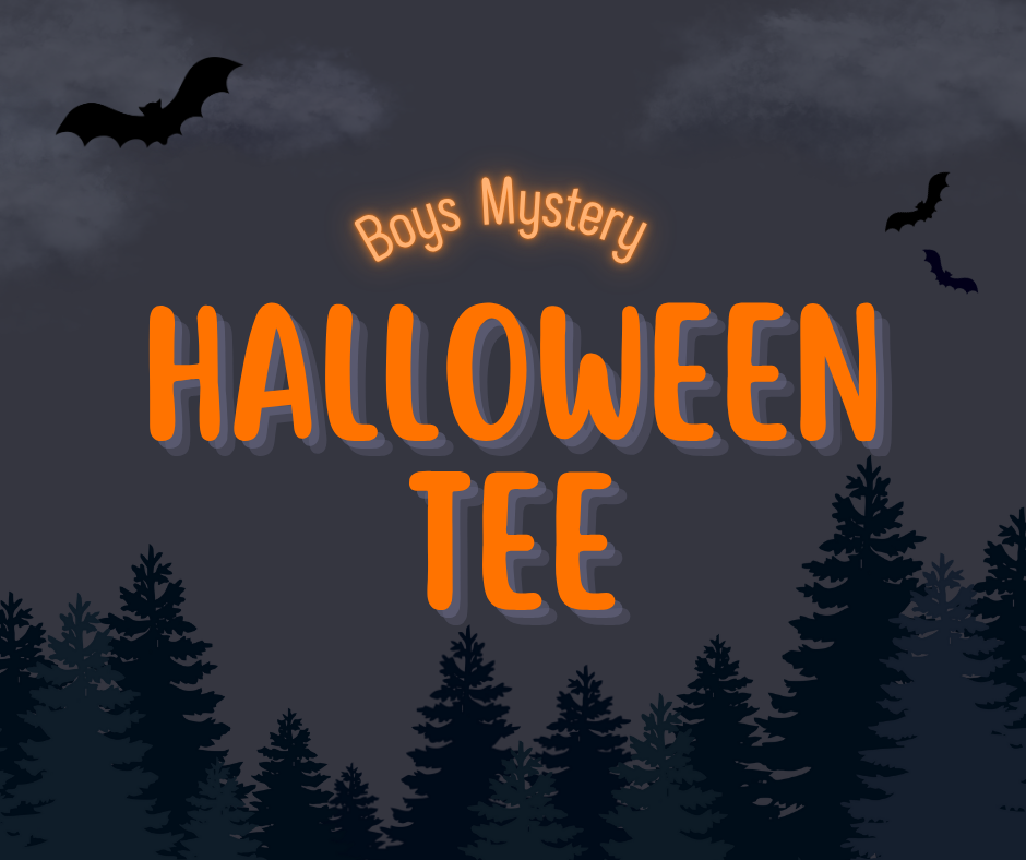 Youth Boy Halloween - 2 Mystery Tee - Gildan