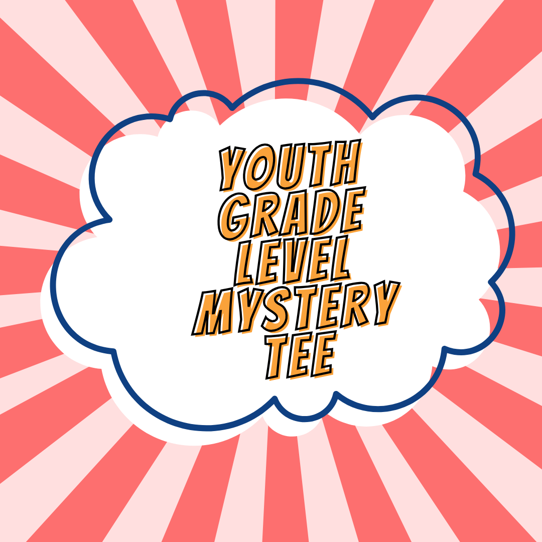Youth Girl Grade Level - 2 Mystery Tee - Gildan