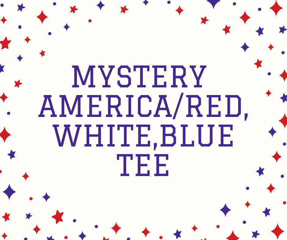 MENS - America/RED, WHITE, BLUE - 2 Mystery Tee